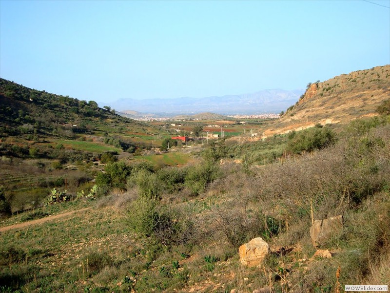 وادي الشيخ و المنزَل