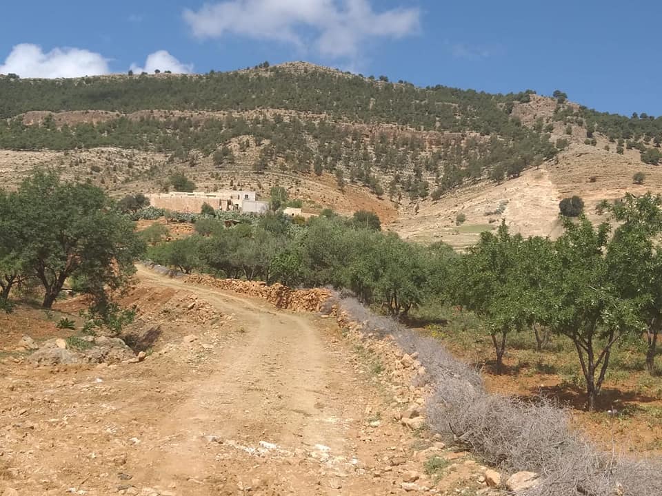      انطلاق بناء طريق جبلية وعرة تربط بين مجموعة سكنية بدوار ادغابشة والطريق الإقليمية 6005       